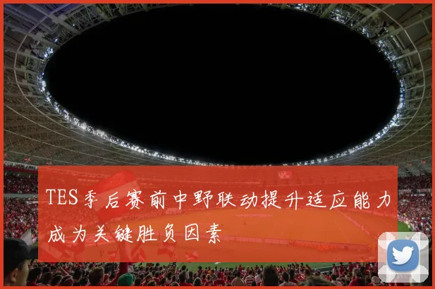 TES季后赛前中野联动提升适应能力成为关键胜负因素
